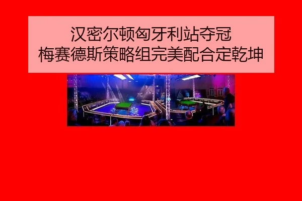 han-mi-er-dun-xiong-ya-li-zhan-duo-guan-mei-sai-de-si-ce-lve-zu-wan-mei-pei-he-ding-qian-kun-2-477.jpg